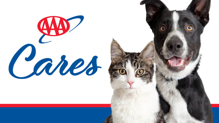 AAA Cares Supports Local Animal Shelters